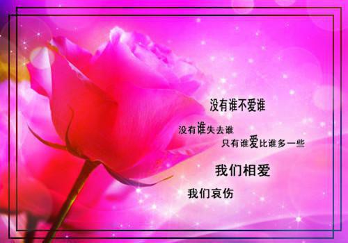 宋安沈皎皎最新章节更新状态 京圈富少让我挑分手礼,我只要白月光的一根头发by方橙橙