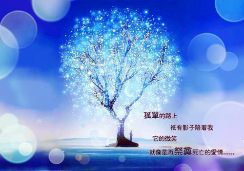 盛枝纪淮野江寒霆免费阅读最新章节结局 合租的黑客大佬是病娇:后续未删减小说