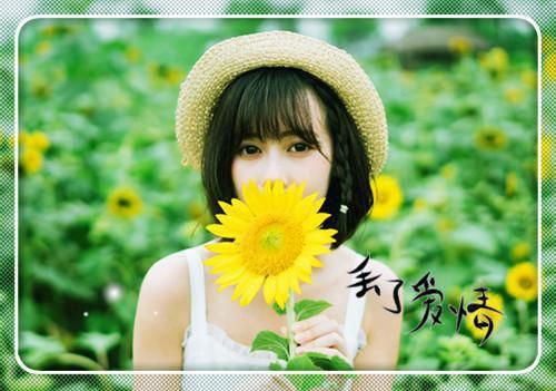 秦若笙沈寂川小说免费阅读 明月盈来又亏去：后续免费阅读