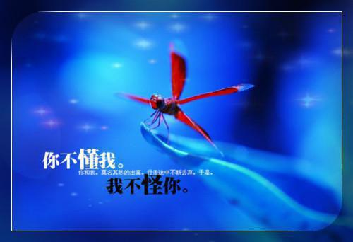 霍心妍小说免费阅读最新章节 别人赢在起跑线，妈宝女靠母爱赢在阴曹地府全文免费阅读