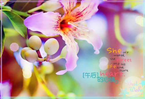 龙溪月萧煜辰辰小说免费阅读全文 爱恨朱颜负,山河碎梦遥by匿名