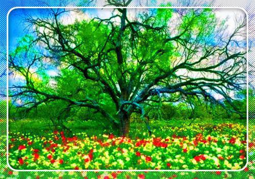 孟穗安季风季思安小说免费阅读 重生到15年后暴打老公免费阅读小说