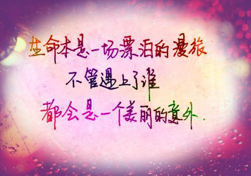 赵月凝阿阮的最新章节小说 捡漏穿越女不要的系统签到奖励免费阅读赵月凝阿阮小说