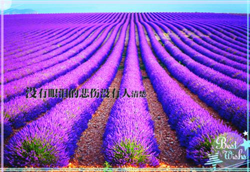 我傅崇舒菡什么关系 心动者偏差：后续知乎小说