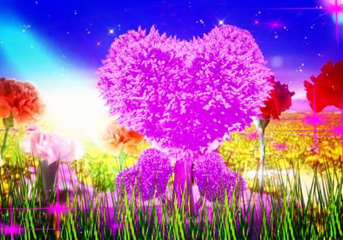 全文浏览母亲心脏被挖,律师妻子为凶手做无罪辩护(陆时川林晚星)_母亲心脏被挖,律师妻子为凶手做无罪辩护(陆时川林晚星)全文结局