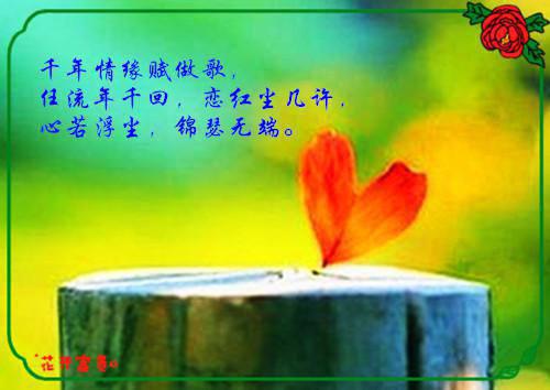 徐梦梦沈白免费阅读最新章节 配合傻眼最新章节更新