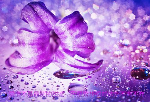 苏晚顾衍辰林薇薇是哪部小说 焚心似火，终难暖他全文最新更新内容