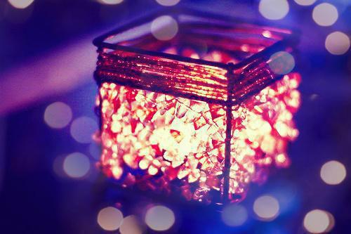 苏言星陆钦州什么关系 和哥哥的兄弟谈恋爱小说最新章节列表