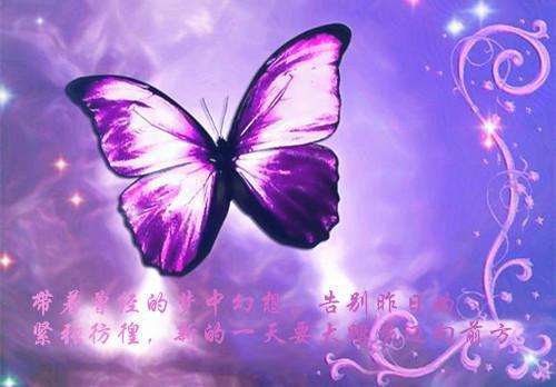 姜清然陆寒州陆聿风叫什么小说 爱殒于长风之中by神秘人