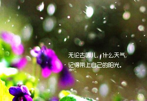 苏妍付祁安叶蓁蓁最新章节内容 失忆前男友消失三年，我拿五百万赌真相笔趣阁最新章节