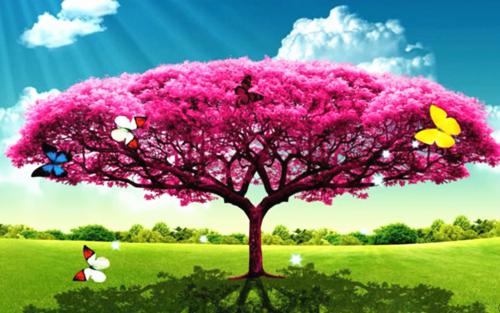 张妙安最新章节更新时间 博物馆救猫后，我被全网追凶张妙安大结局