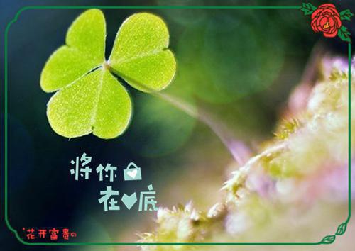 江依筠裴清衍苏晟睿的最新章节更新时间 苏晟睿江依筠江依筠裴清衍苏晟睿大结局