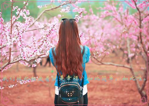 简妩陆西宴小说叫什么 无籍之徒结局