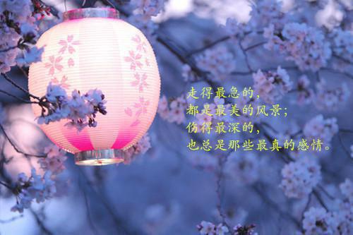 许悠许愿什么关系 全家人得知妹妹秘密后，哭着求我回家小说最新章节列表