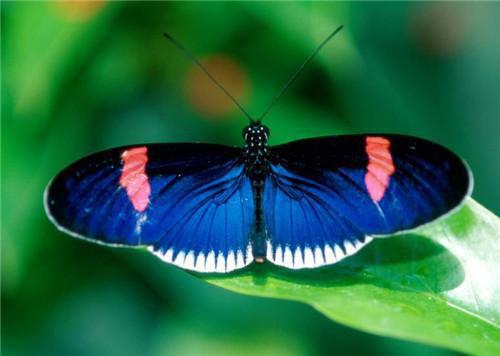 女主许小安结局 上岸前夜的纹身贴免费阅读小说