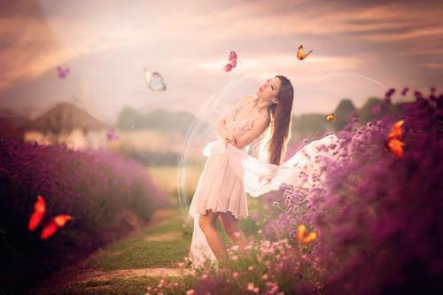 沈秋秋萧胤宸是哪部小说 她家槐树通古代小说沈秋秋萧胤宸免费阅读全文