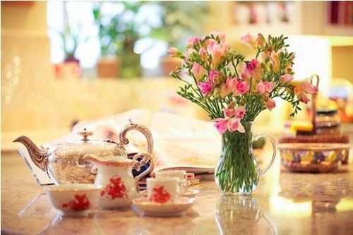 沈行舟阮落宁顾砚书小说叫什么名字 竹马喜欢孩子,丁克老婆亲自上阵助他当爸小说沈行舟阮落宁顾砚书免费阅读全文