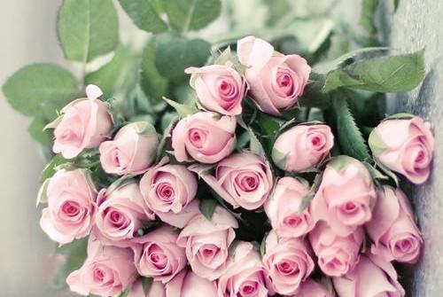 阿尘小雅笔趣阁免费阅读 青云之上的修行之旅全文免费阅读