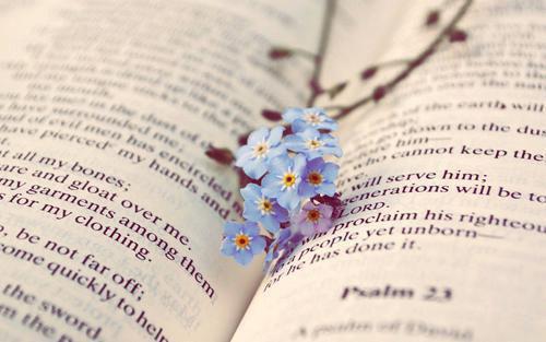 锦墨的小说叫什么 闺蜜污蔑我撞死天价藏獒，我喝下藿香正气水上高速小说全文免费