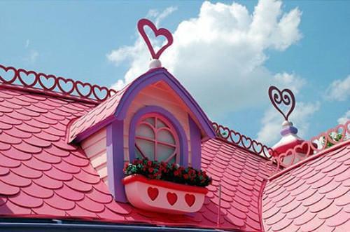 林璟年许念初小说免费阅读 许念初林璟年原著在线阅读