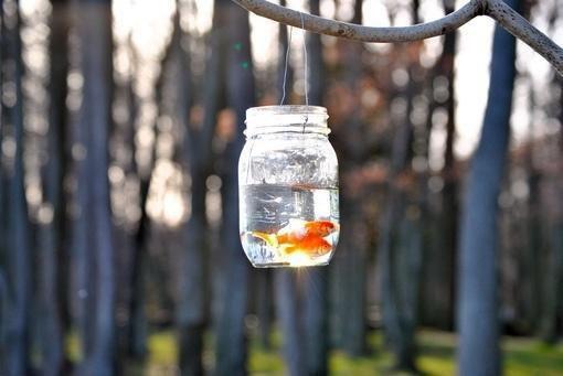 楚南柚薛溟川楚青瑶的最新章节更新时间 楚南柚薛溟川免费阅读小说