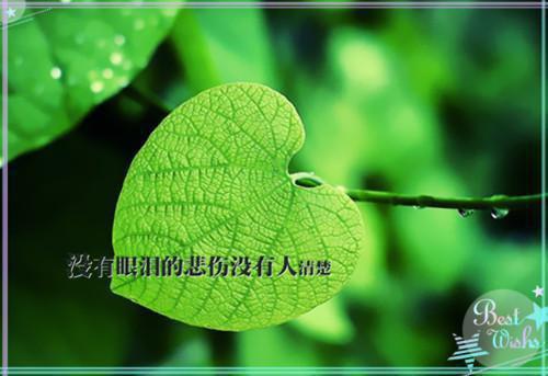 沈南妍仓央措勒小说名字 沈南妍仓央措勒短篇小说