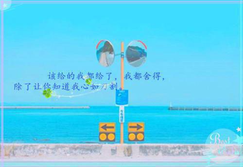 江寻澈裴静娇小说叫什么名字 逼婚后他成了全网黑（佚名）免费阅读