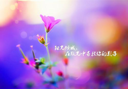 楚良玉苍玉于途小说免费阅读全文 摆脱生子系统后她成了兽世主宰小说楚良玉苍玉于途免费阅读