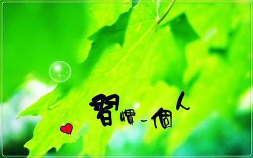 桑澈陆敬尧苏郁意最新章节内容 系统让我男扮女装那些年小说全文阅读