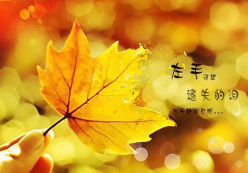 晚来舟楫不相识(陆瑾舟倪晚)全文浏览_晚来舟楫不相识全文浏览