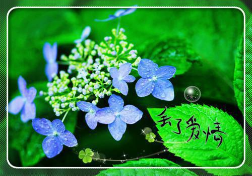 谢怡熏霍铭宇顾凌燕小说名 谢怡熏霍铭宇小说谢怡熏霍铭宇顾凌燕免费阅读