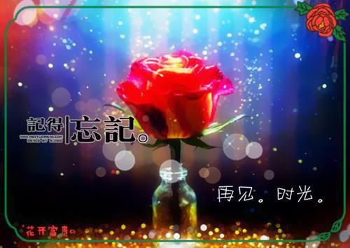 裴宴启沈言栀什么关系 沈言栀裴宴启在线阅读