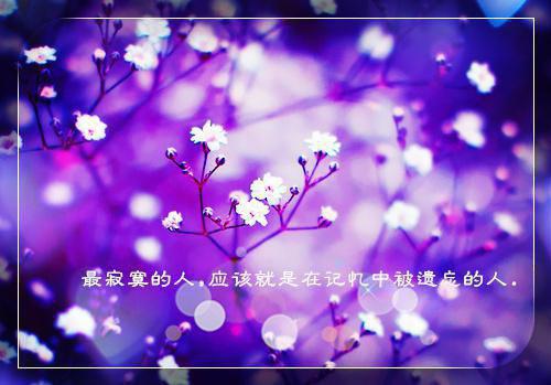 苏瑾慧沈从谦小说名 八零逆袭:拒婚后她成非遗传承人全文免费阅读