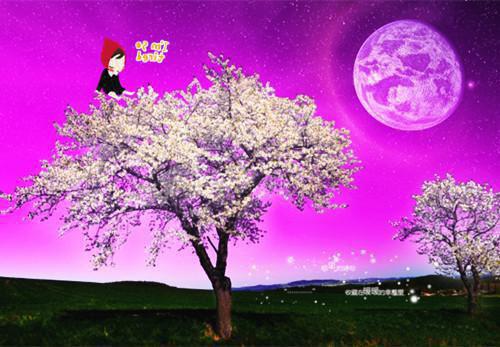 琪琪陈扬小说免费阅读 男朋友要我上交生活费电子书