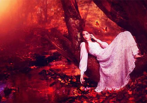 陆承渊阿颜最新章节更新 离青城:番外小说全文免费