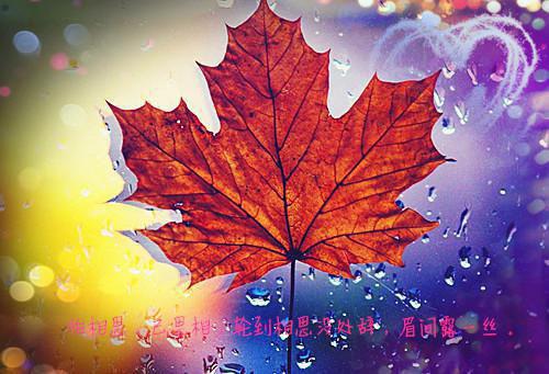 林兰小说名 爸妈拿我的救命钱给弟弟买表,手术当天他们悔疯了林兰小说