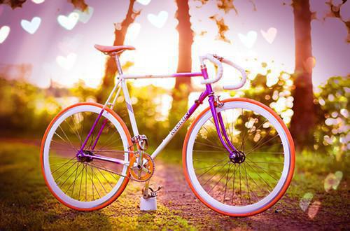 陆瞳早谢江宴陆聆鸢最新章节更新状态 陆瞳早谢江宴陆瞳早谢江宴陆聆鸢全文