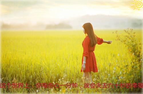 完全听婆婆指挥?她要在我家做老大邬莹莹郑国玮推荐完本_已完结完全听婆婆指挥?她要在我家做老大(邬莹莹郑国玮)