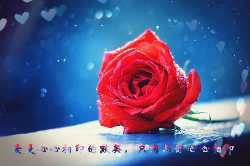 简书沈夕颜笔趣阁 和她散于那年秋：后续小说最新章节列表