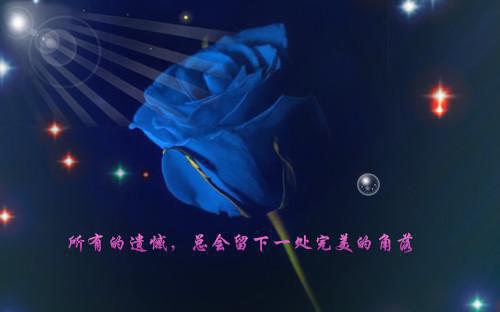 影子小姐的小说假死后,前夫跪着看我和沈少热吻鹿之期沈肆言全文在线阅读