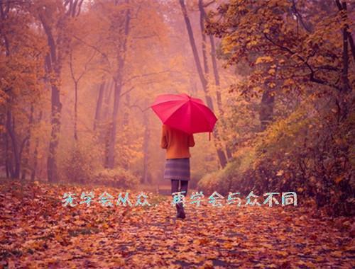 薛素素萧荇的最新章节小说 君待东风我且西行知乎薛素素萧荇