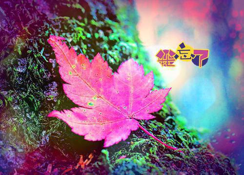 陈兮陆寻安林双双小说结局 长安尽头无故人小说正版阅读