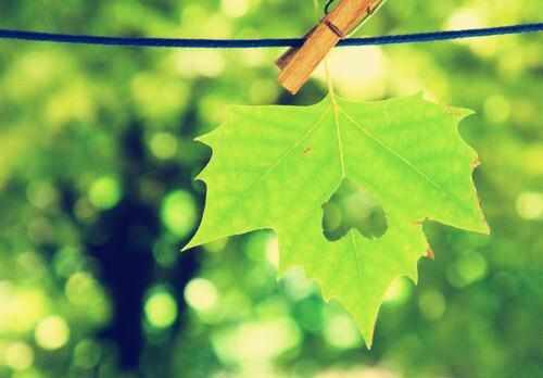 周叙白张浩辰林曼小说免费阅读最新章节 弟弟枉死后，我的身份不藏了在线阅读