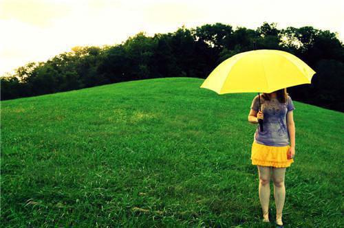 何雯沈绍最新章节更新 被未婚夫抛弃后,他悔疯了知乎何雯沈绍