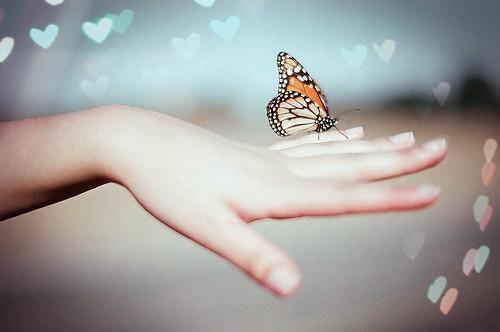 纪云舒裴行简：+后续+结局（纪云舒裴行简）爱恨纠葛免费阅读_(纪云舒裴行简：+后续+结局)纪云舒裴行简：+后续+结局爱恨纠葛免费阅读（纪云舒裴行简）