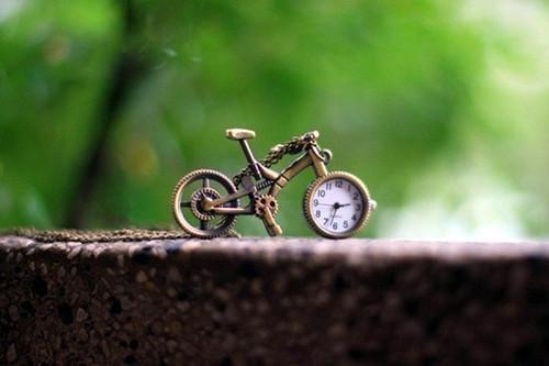 梁苏江叙逸连书翘叶政霖秦桦周沅最新章节更新状态 闺蜜谈了高富帅后，带着我嫁进了豪门：后续梁苏江叙逸连书翘叶政霖秦桦周沅大结局