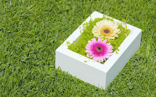 顾临宴秦雨薇楚景瑜笔趣阁免费阅读 爱到极致，不是占有最新章节更新