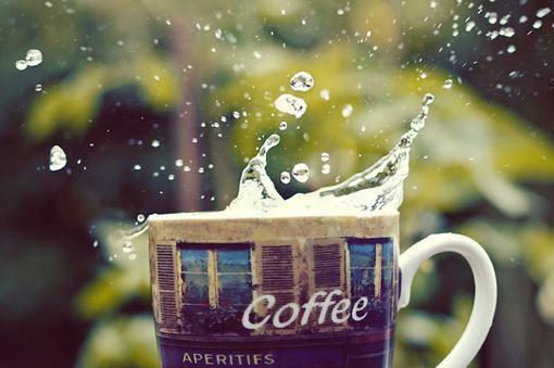 姜晚顾绍之周景灼慕婉音最新章节更新状态 和离五年后，绝嗣夫君遇见带女儿回京探亲的我失控了姜晚顾绍之周景灼慕婉音大结局