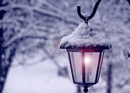 蒋老师林瑶张明笔趣阁免费阅读 价值八十万的全班旅游被取消后，学生闹疯了小说全文阅读