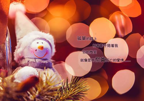 柳漓月秦衍小说免费阅读 漓月小说全文阅读